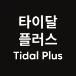 타이달